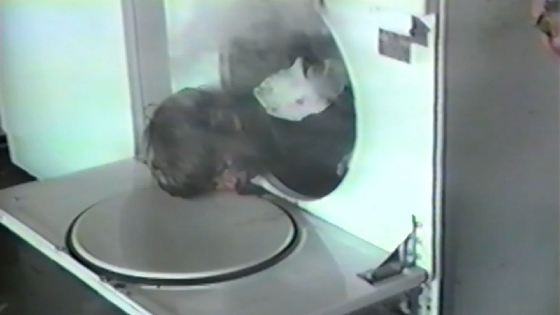 Blood Brothers (& Other Delights)