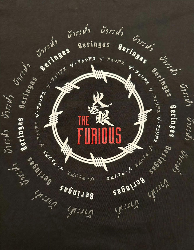 The Furious Poster