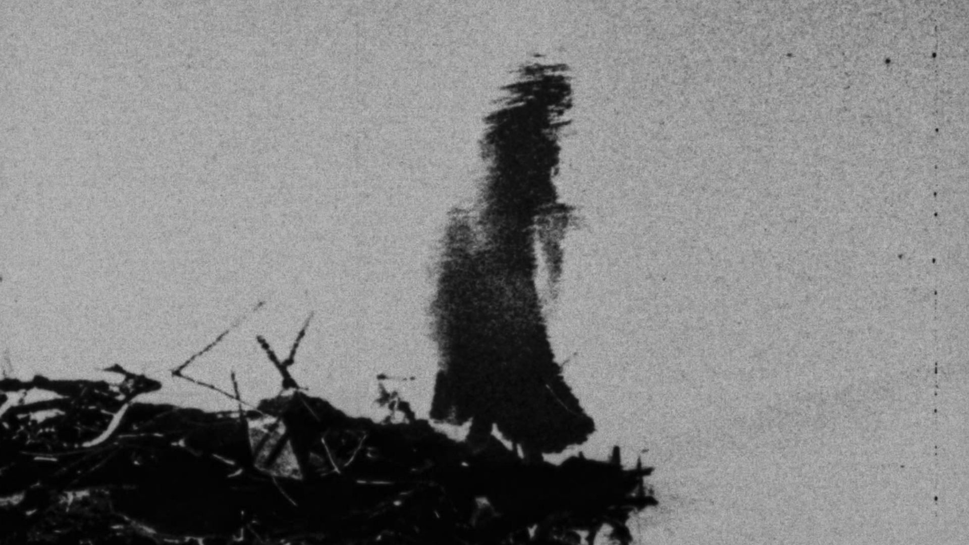 Begotten